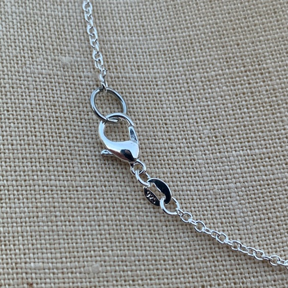 NWT Sterling Silver Plated Chain & Alloy Heart Charm Necklace - Picture 10 of 10